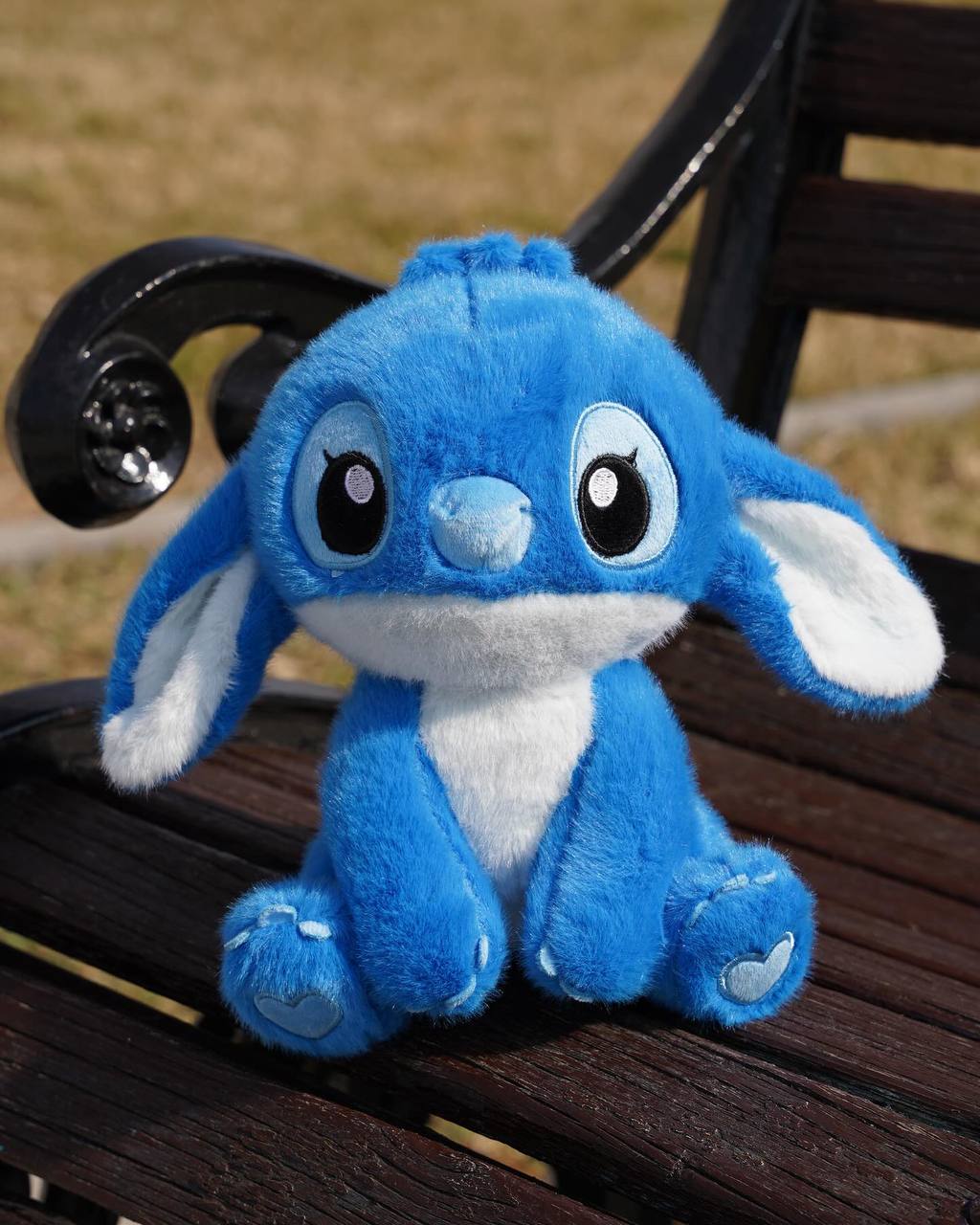                             Ստիչ արջուկ նստած
                        