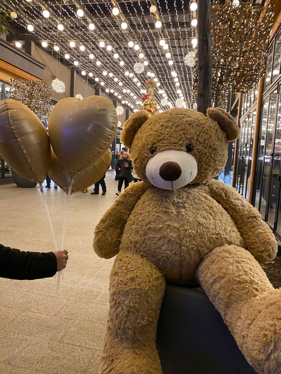                             Ամենամեծ արջը
                        